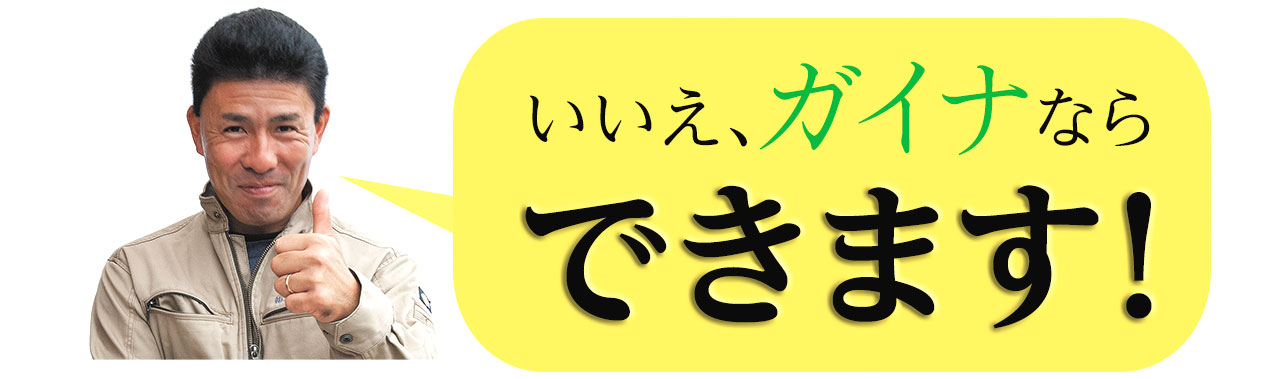 ガイナなら、できます!