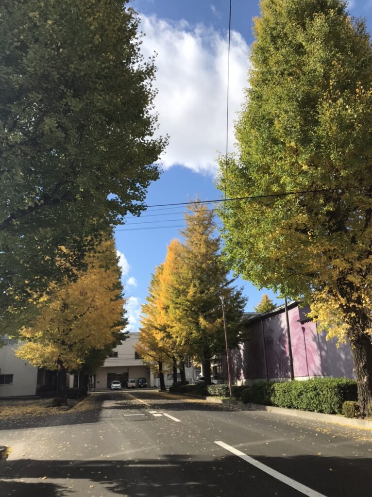 紅葉2021_a
