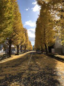 紅葉2021_b
