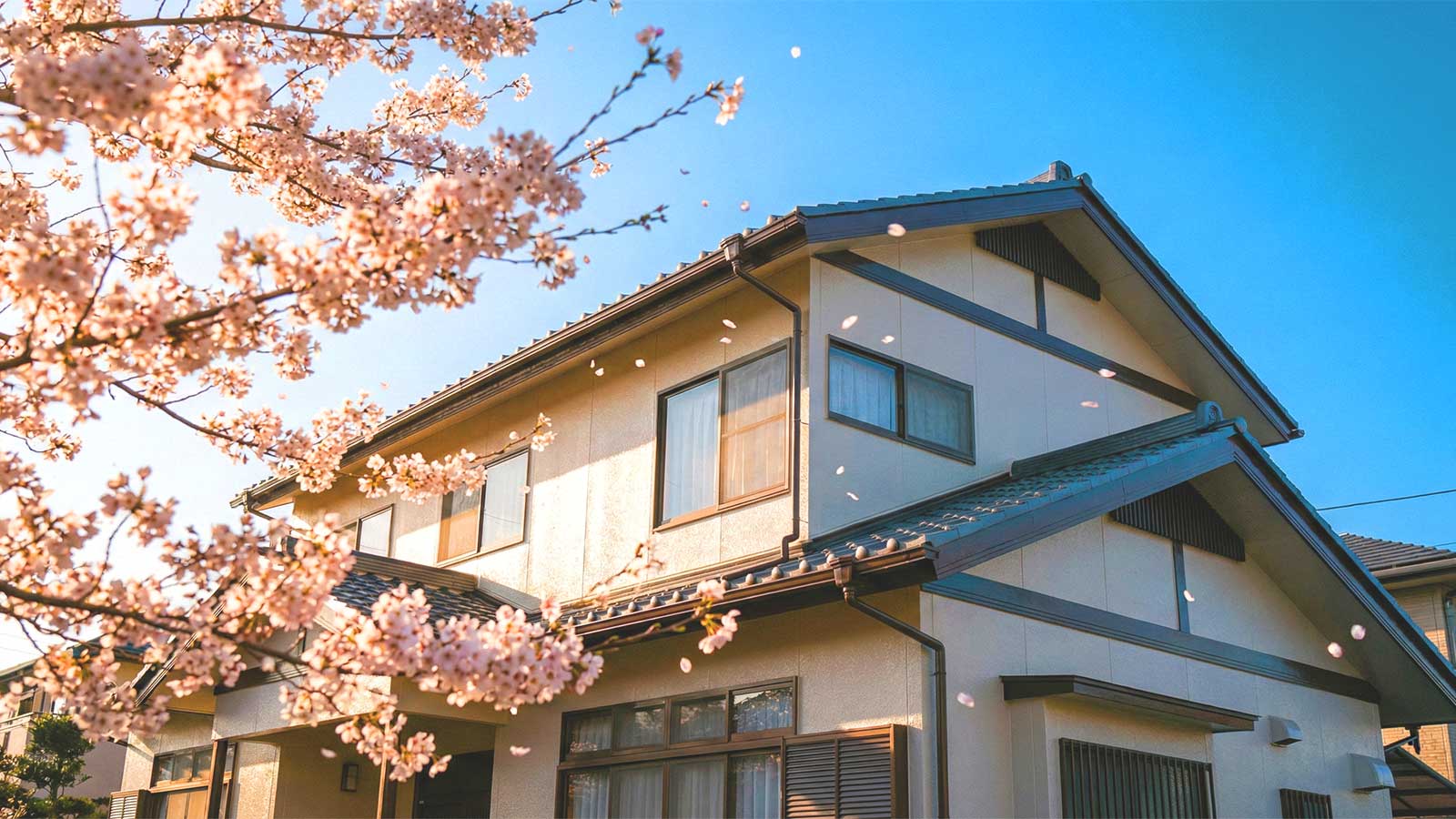 春の塗装キャンペーン